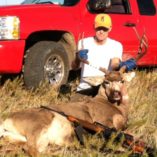 Mule deer hunt