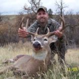 Whitetail buck