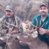 Two whitetail bucks